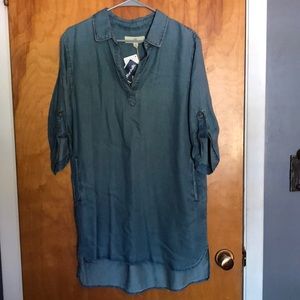 NWT Denim dress